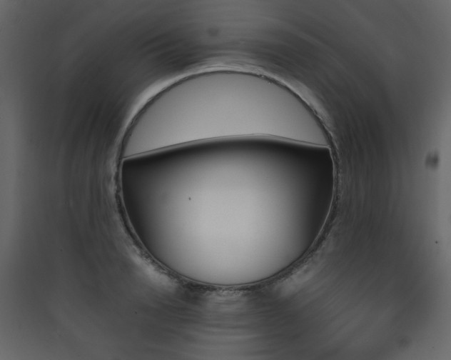X0000090410846200707131145