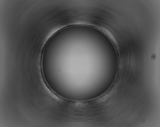 X0000090410847200707131145