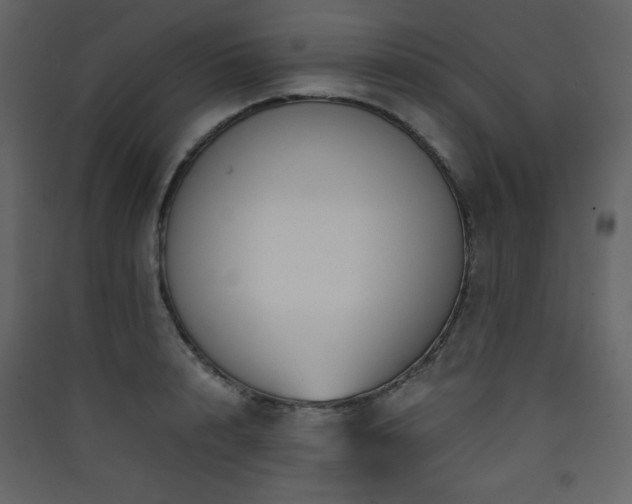 X0000090410848200707131145