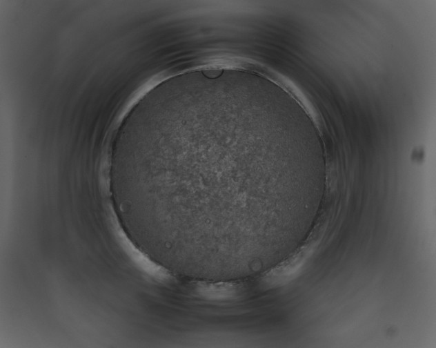X0000090410851200707131146