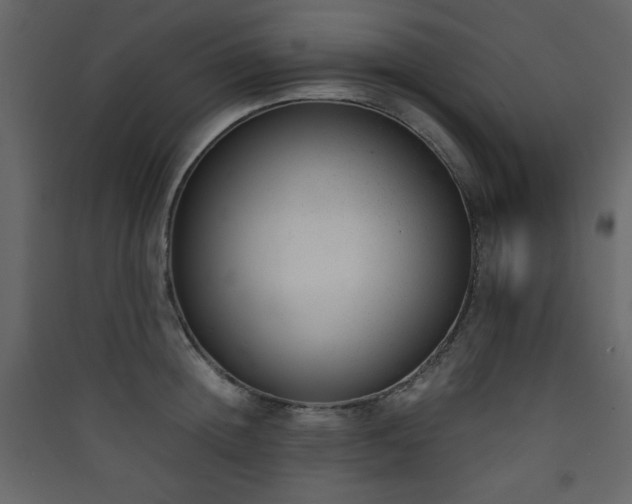 X0000090410852200707131146