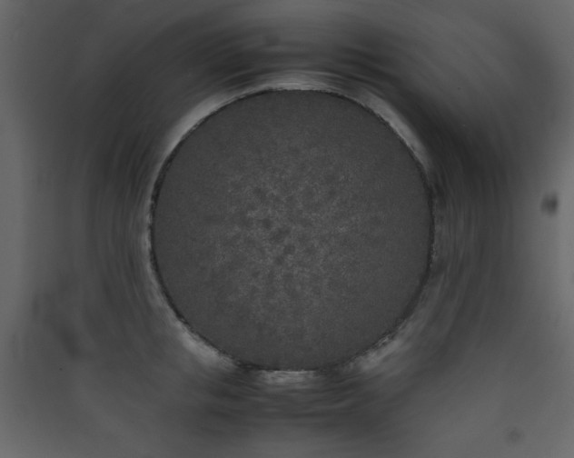 X0000090410853200707131146