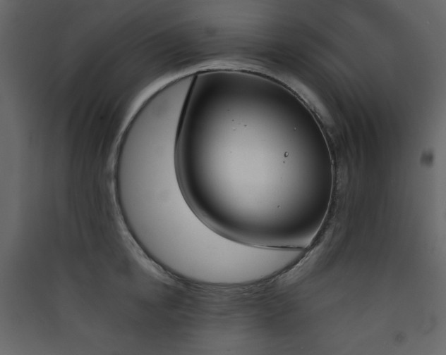 X0000090410854200707131146