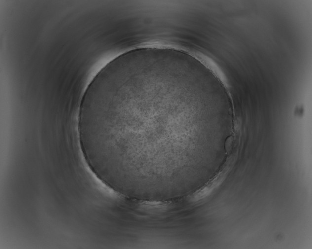 X0000090410855200707131146