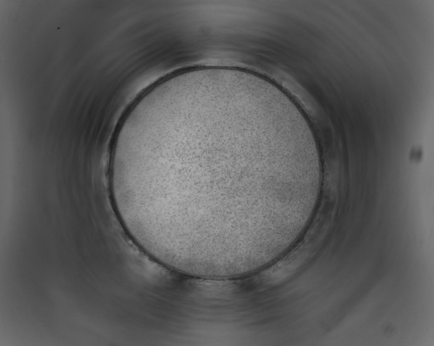 X0000090410856200707131146