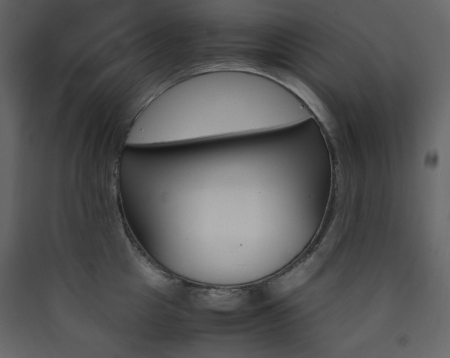 X0000090410857200707131146