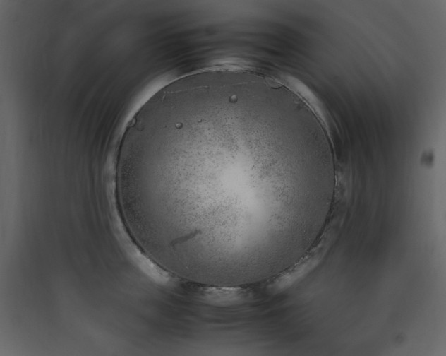 X0000090410859200707131146