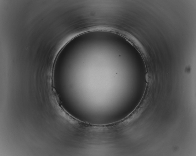 X0000090410860200707131146