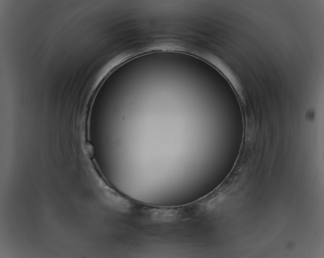 X0000090410861200707131146