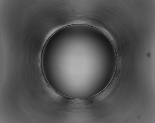 X0000090410862200707131146