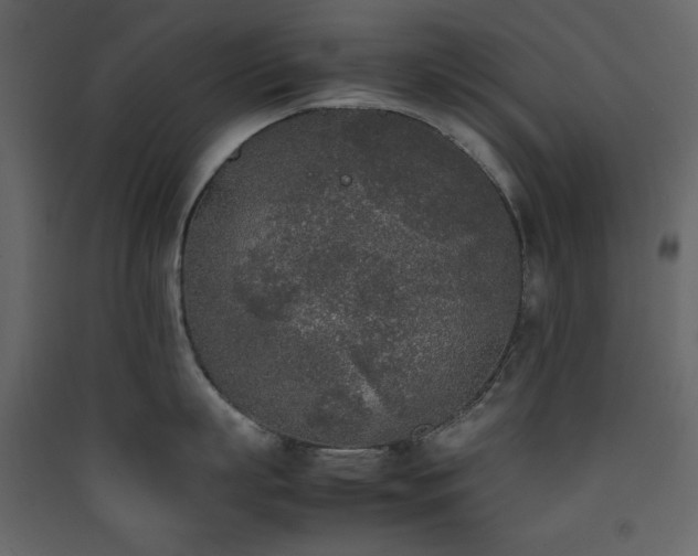 X0000090410863200707131146