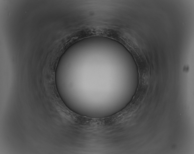 X0000090410865200707131145