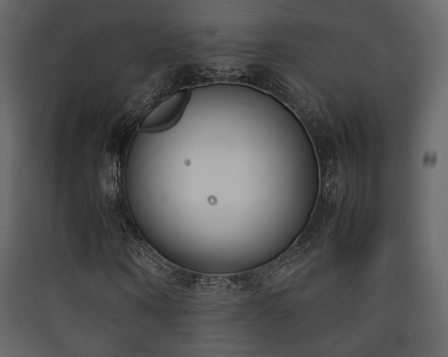 X0000090410866200707131145