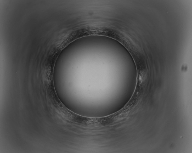 X0000090410867200707131145