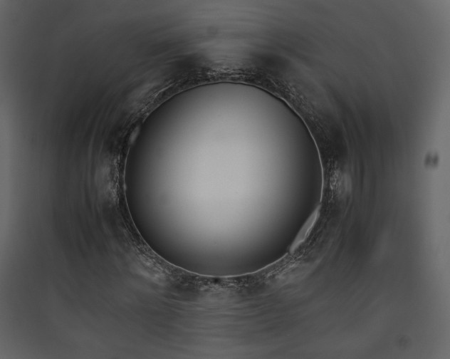 X0000090410868200707131145