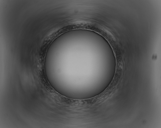 X0000090410869200707131145
