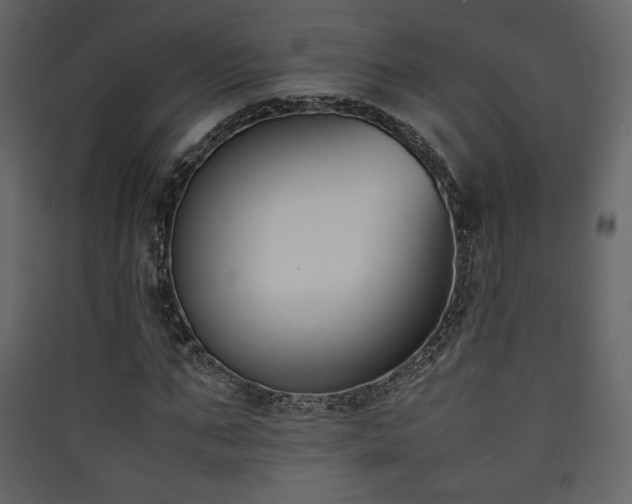X0000090410871200707131145
