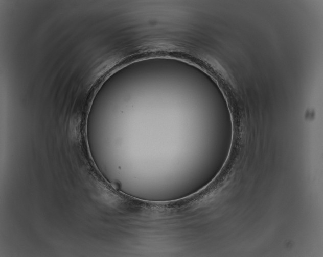 X0000090410873200707131145