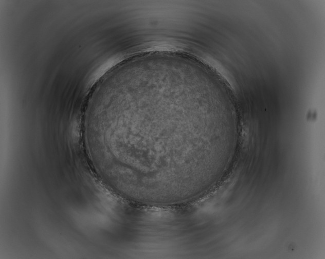 X0000090410874200707131145