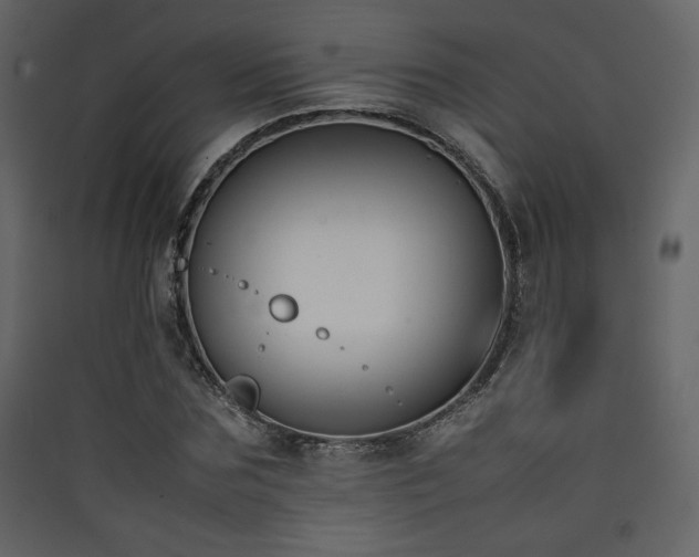 X0000090410875200707131145