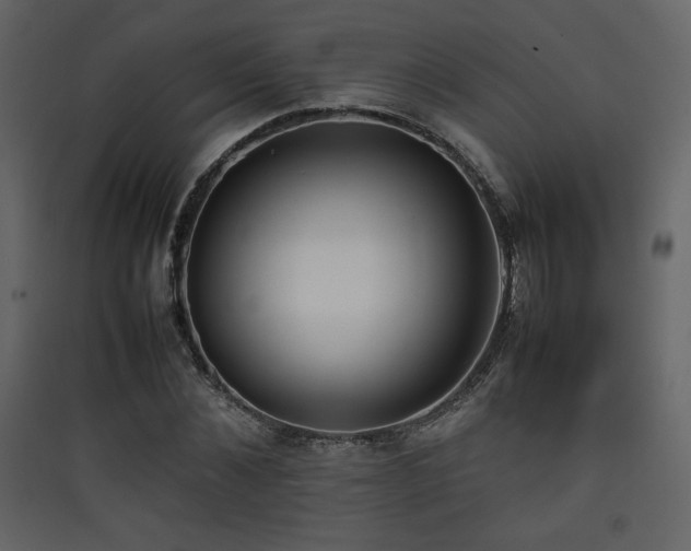 X0000090410876200707131145
