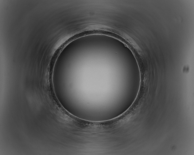 X0000090410877200707131145