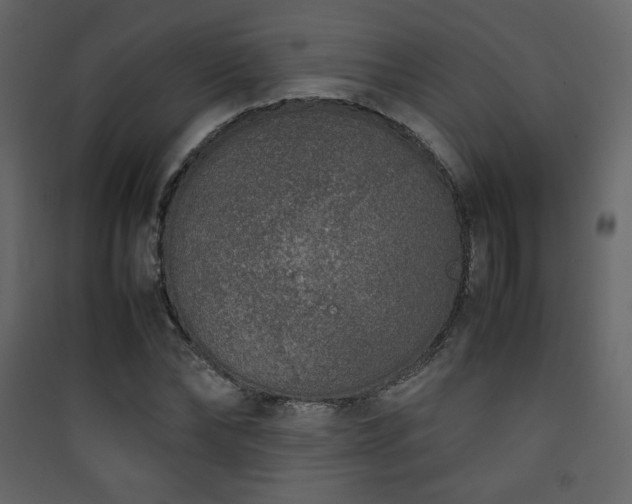 X0000090410878200707131145