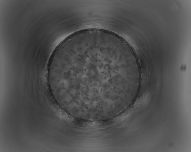 X0000090410879200707131145
