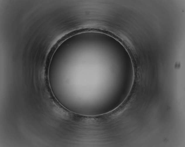 X0000090410880200707131145