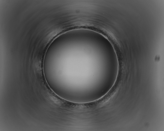 X0000090410881200707131145