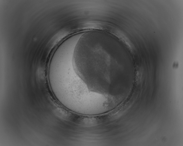 X0000090410882200707131145