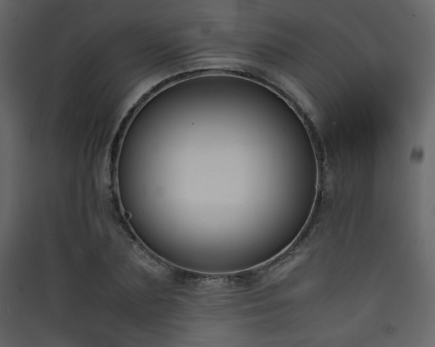 X0000090410883200707131145