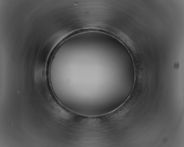X0000090410884200707131145