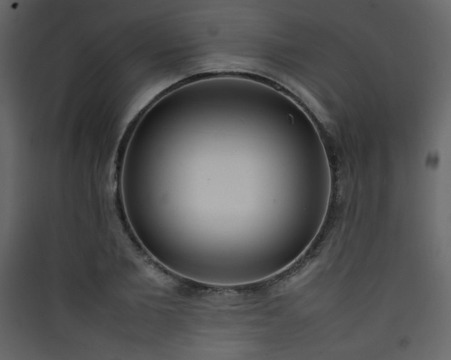X0000090410885200707131145