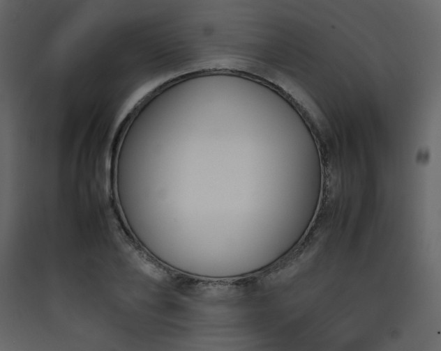 X0000090410886200707131145