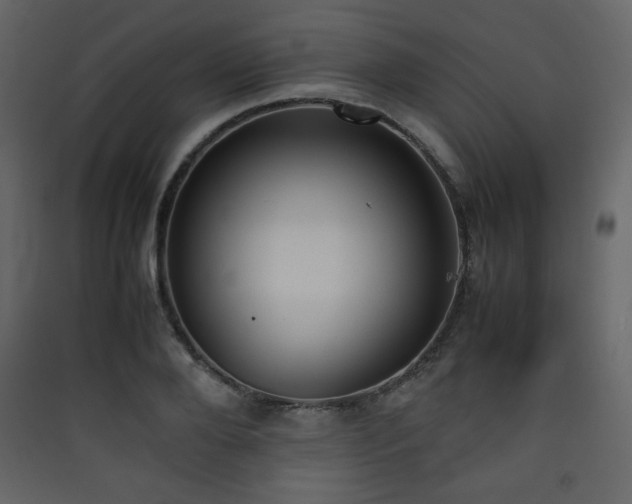 X0000090410888200707131145