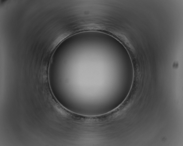 X0000090410889200707131145