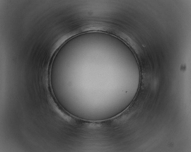 X0000090410890200707131145