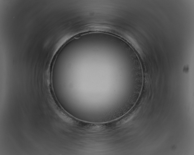 X0000090410891200707131145