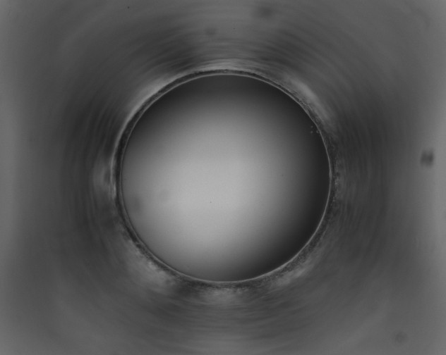 X0000090410892200707131145