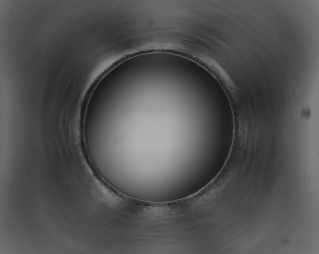 X0000090410894200707131145