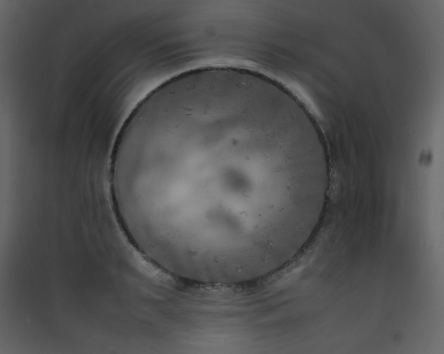 X0000090410895200707131145