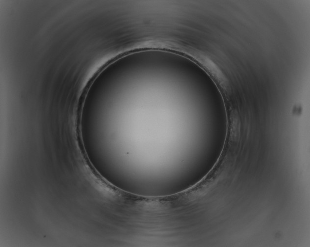 X0000090410896200707131145