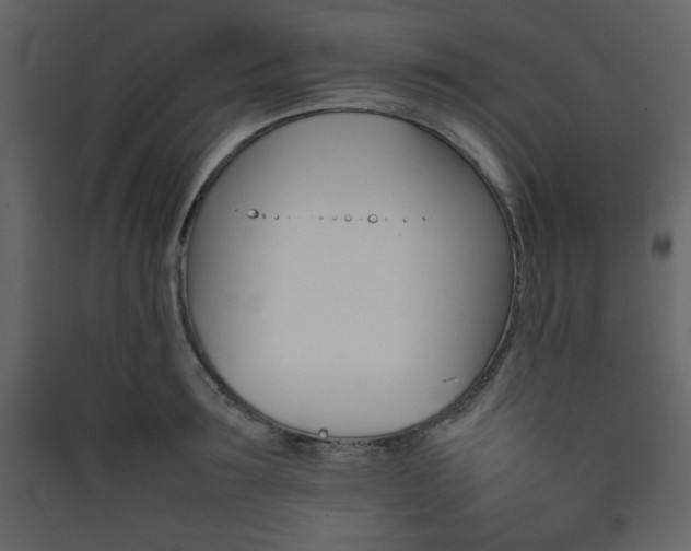 X0000090410899200707131144