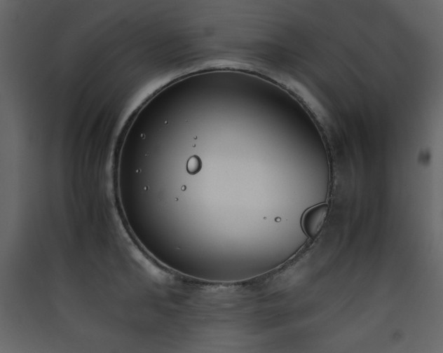 X0000090410902200707131144