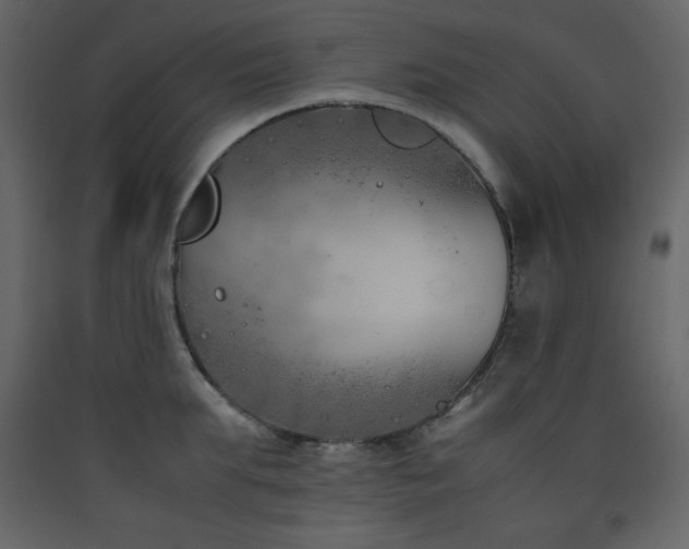 X0000090410903200707131144