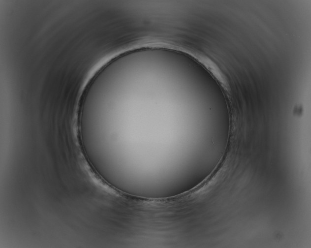 X0000090410904200707131144