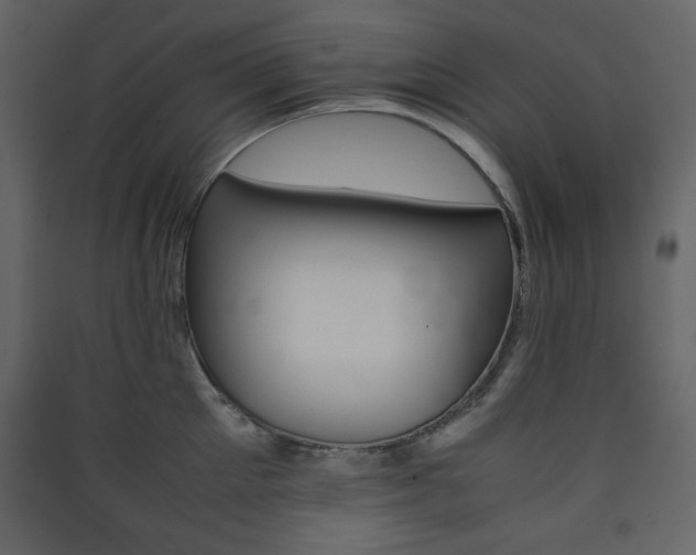 X0000090410905200707131144