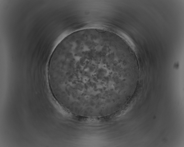 X0000090410907200707131144