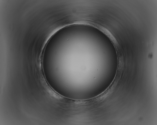 X0000090410908200707131144